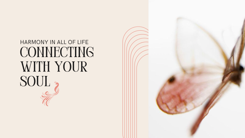 Connecting With Your Soul