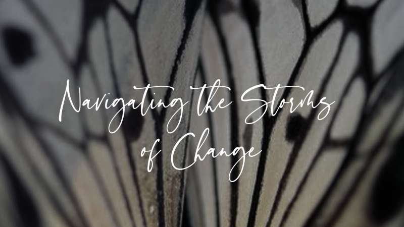 Navigating the Storms of Change